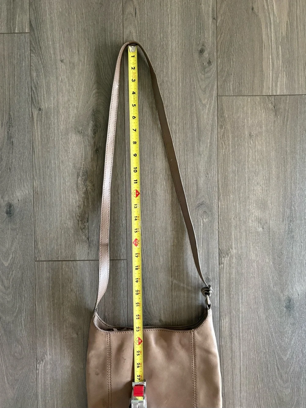 The Sak De Young Hobo Bag with Snakeskin Accent Trim